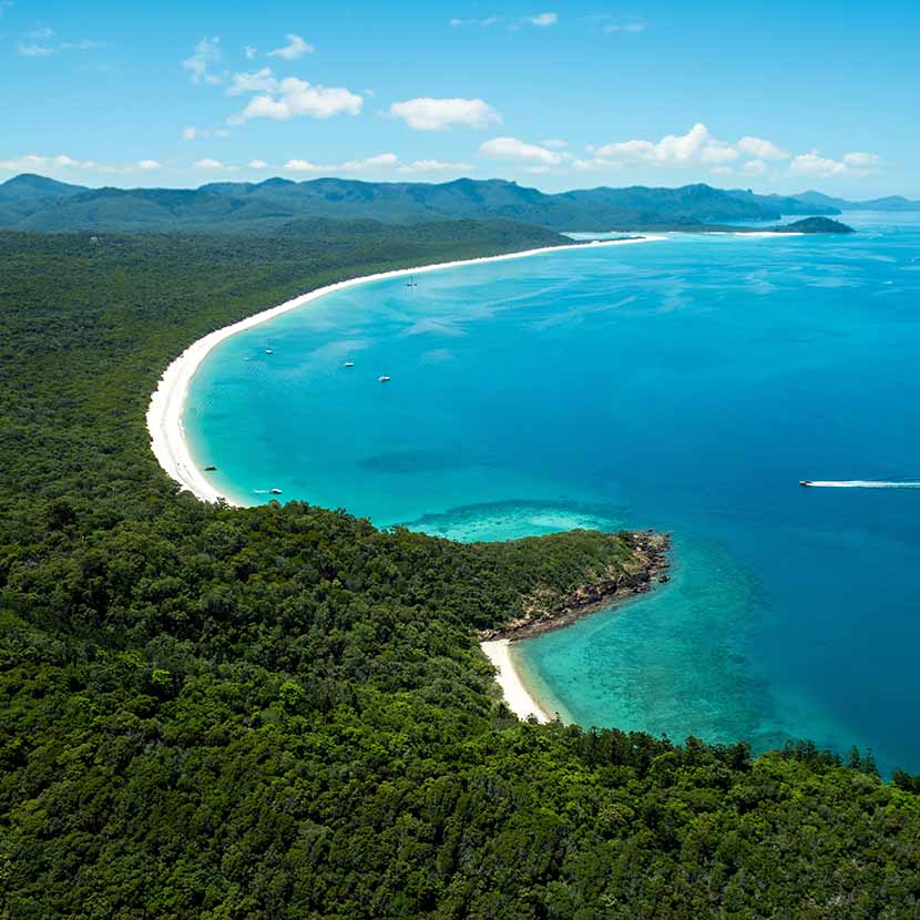 Great Barrier Reef, Hamilton Island