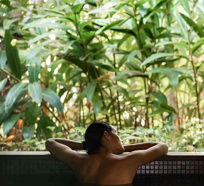 Summer at qualia