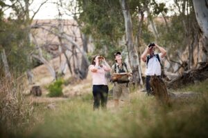 Arkaba_Flinders-Ranges_Bushwalk-Binoculars