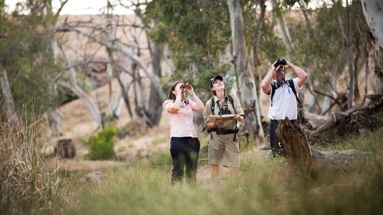 Conservation meets wilderness walking in style...