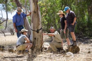 Arkaba_Flinders-Ranges_Conservation-Group