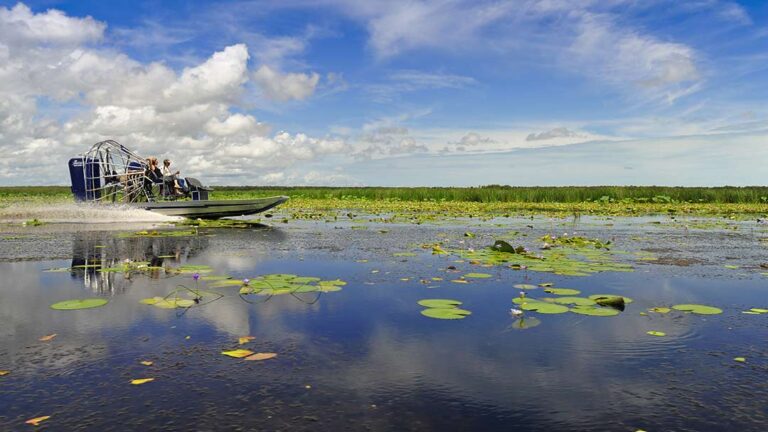 Life on the floodplain...