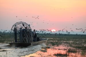 Bamurru-Plains_Top-End_Airboat-Safari-Emma-Pritchett