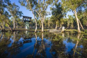 Bamurru-Plains_Top-End_Bird-Hide