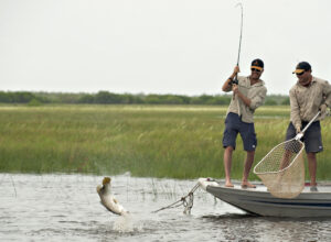 Bamurru-Plains_Top-End_Fishing-Action