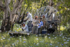 Bamurru-Plains_Top-End_Flooded-Paperbark-Forest-Richard-IAnson