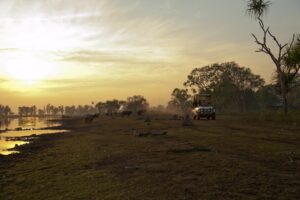 Bamurru-Plains_Top-End_Safari-Drive