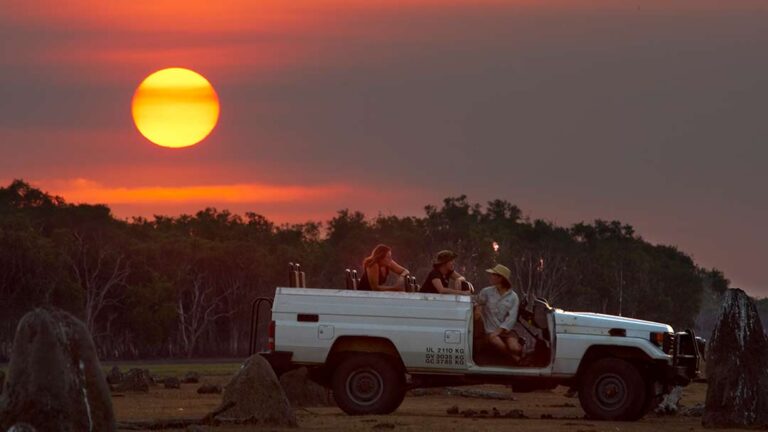 Safari days, starry nights...