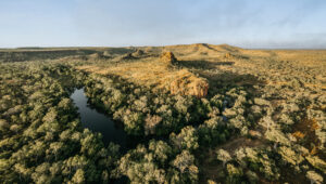 Bullo-River-Station_East-Kimberley_Aerial2