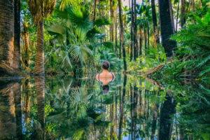 El-Questro-Homestead_The-Kimberley_Zebedee-Springs