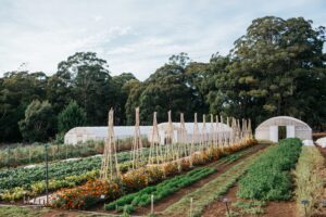 Lake-House_Daylesford_Dairy-Flat-Farm_Productive-Gardens