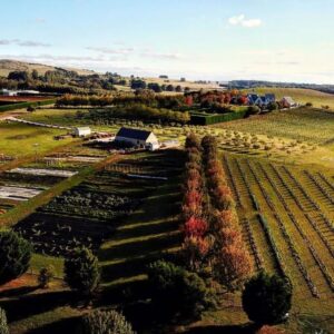 Lake-House_Daylesford_Dairy-Flat-LodgeFarm_Aerial