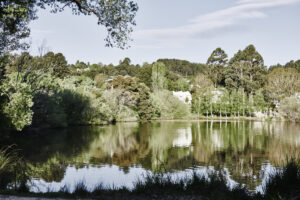 Lake-House_Daylesford_Landscape