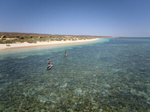 Sal-Salis_Ningaloo-Reef_Experience-Paddleboarding_LLoA