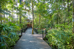 Silky-Oaks-Lodge_The-Daintree_Lodge-Reception