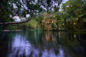 Silky-Oaks-Lodge_The-Daintree_Silky-Oaks-Lodge-1