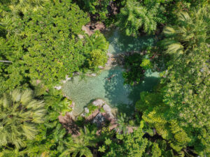 Silky-Oaks-Lodge_The-Daintree_Swimming-Pool