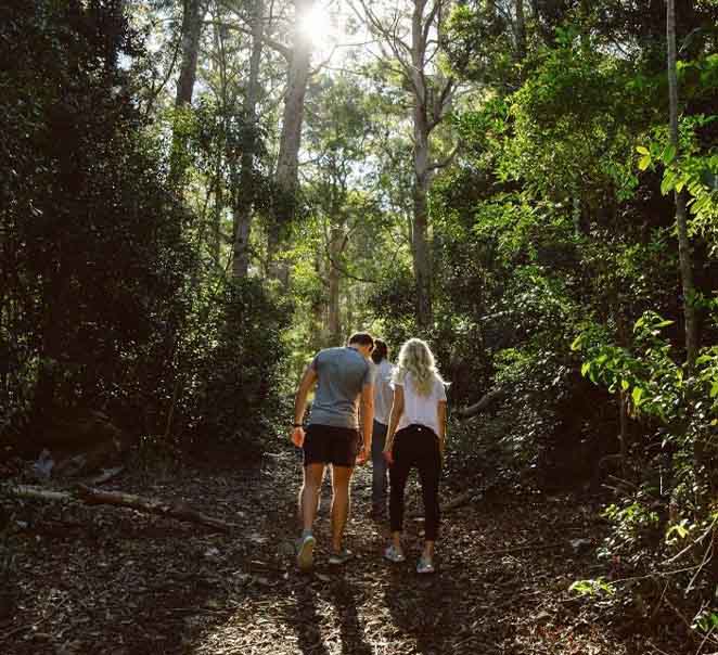 Autumn at Spicers Peak Lodge