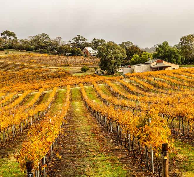 Autumn at The Louise
