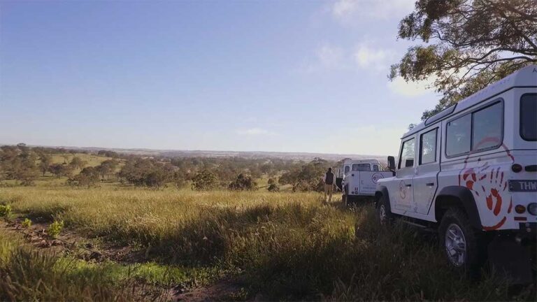 A very personal Barossa connection...