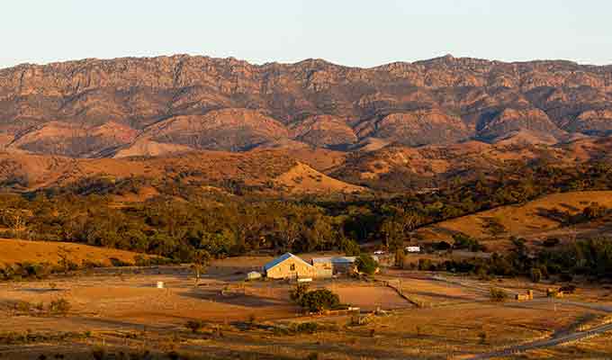 The story behind this sheep station turned private wildlife conservancy...