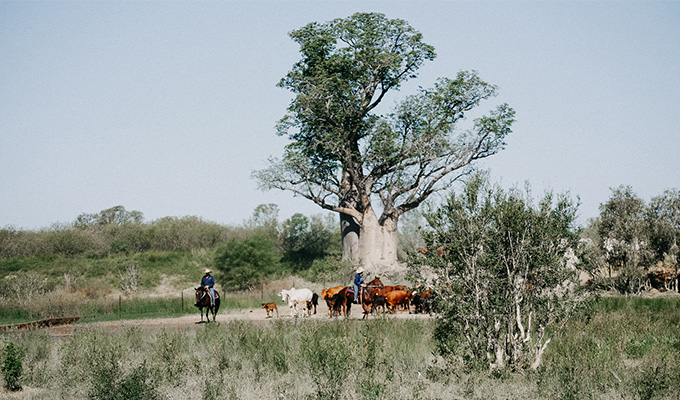 Bullo River Station Review