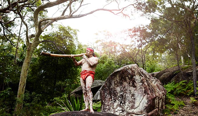 An Aboriginal and wildlife connection...