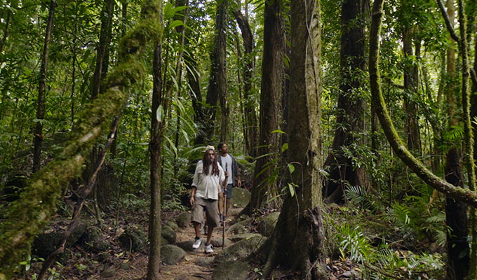 First Nations Daintree Adventures