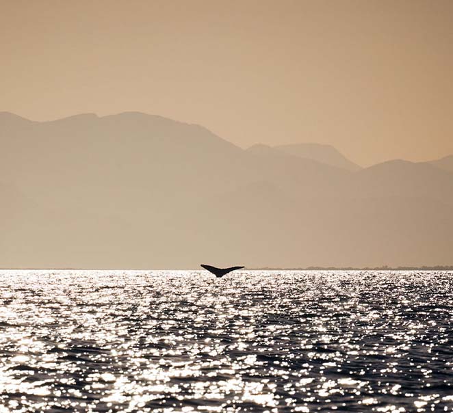 Winter at Orpheus /sland Lodge & Pelorus Private /sland