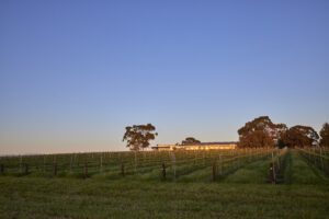 The-Louise-_Barossa-Valley_Lodge-Exterior