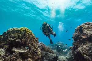 Orpheus-Island-Lodge_Great-Barrier-Reef_Experience-Scuba-Diving2