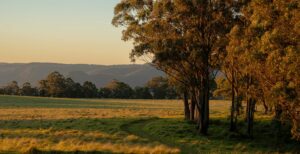 Spicers-Peak-Lodge_Scenic-Rim-Queensland_Scenery-Grounds3000x1540