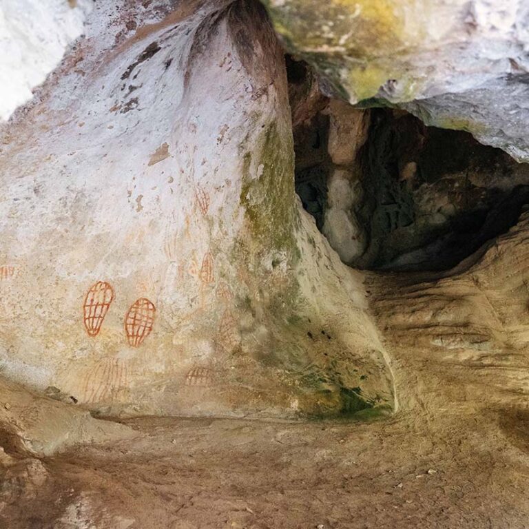 Cultural /sland Discovery