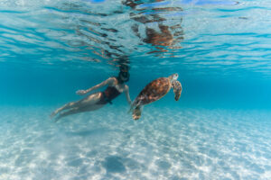 Lizard-Island_Great-Barrier-Reef_Experience-Snorkeling-With-Turtle