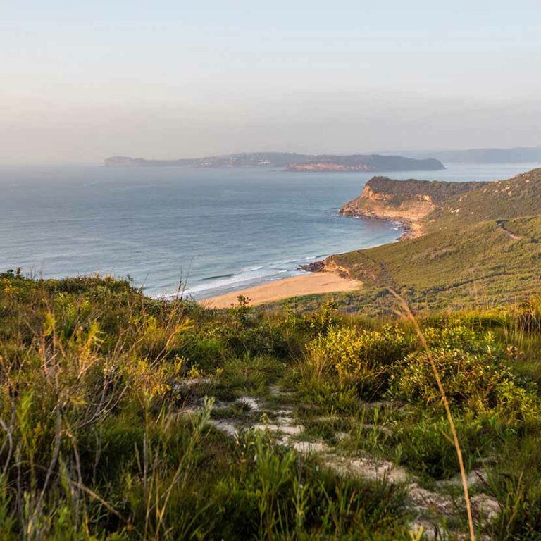 Pretty Beach House V/P Touring Transfer