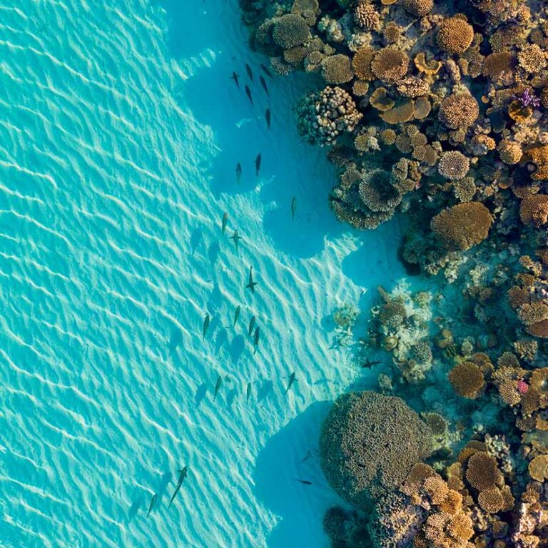 Ningaloo Reef Experiences