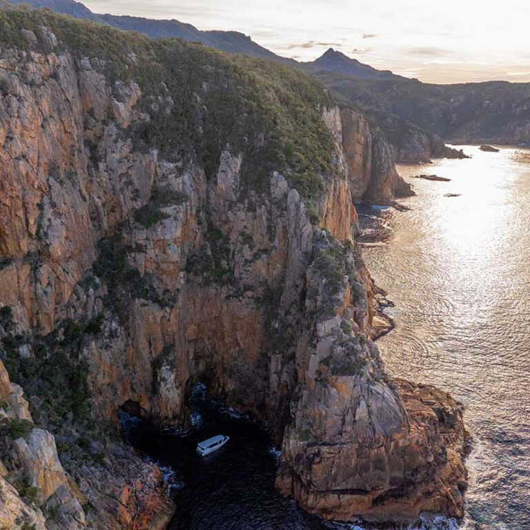 Wilderness & Wildlife Cruise