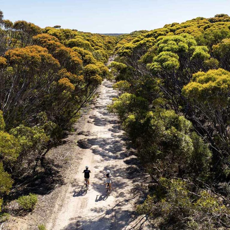 Cycles Of Hanson Bay