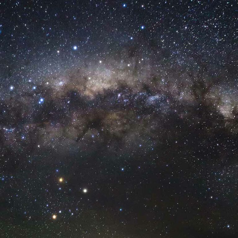 Stars, Skies and Wildlife