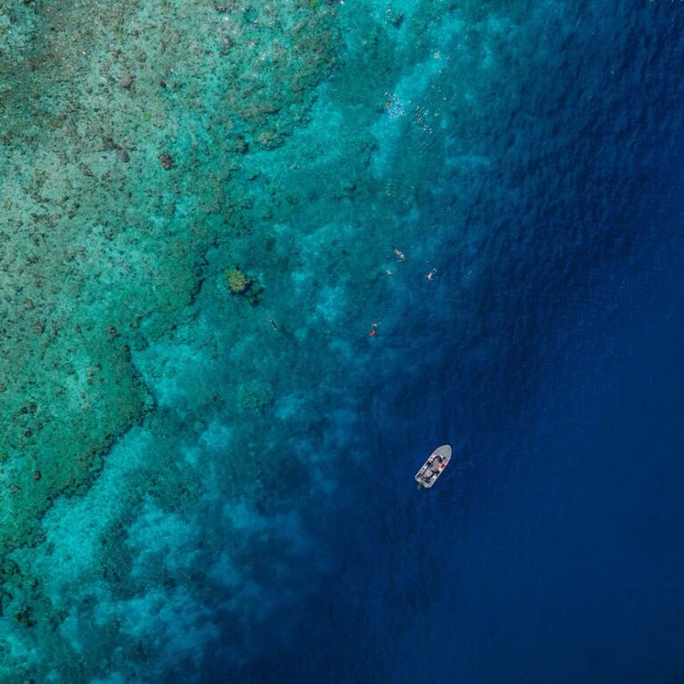 The Great Barrier Reef Adventure Cruise